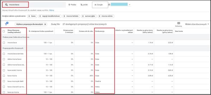 planer słów kluczowych google - podgląd
