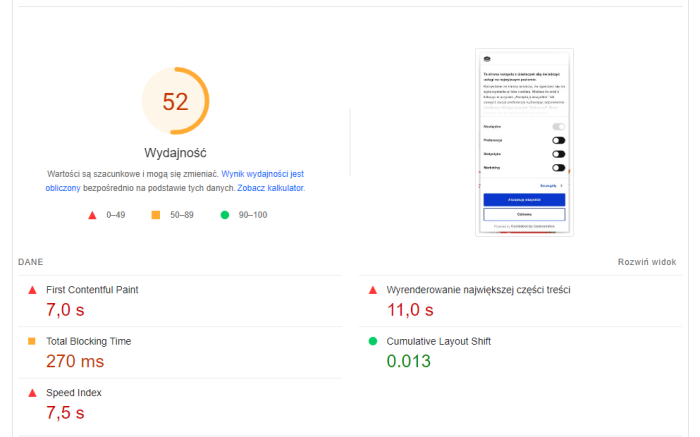 Panel Page Speed Insight: Wskaźniki wydajności.