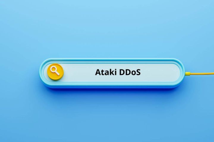 co to sa ataki ddos
