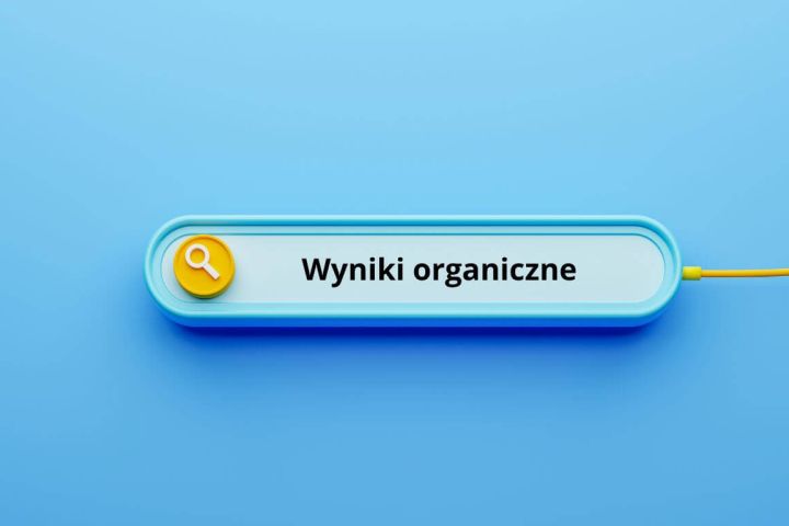 co to sa wyniki organiczne