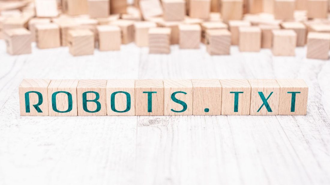robots txt grafika