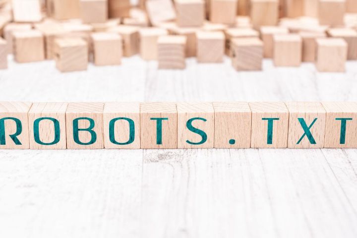robots txt grafika